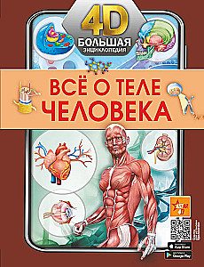 Всё о теле человека