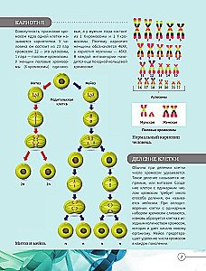 Всё о теле человека