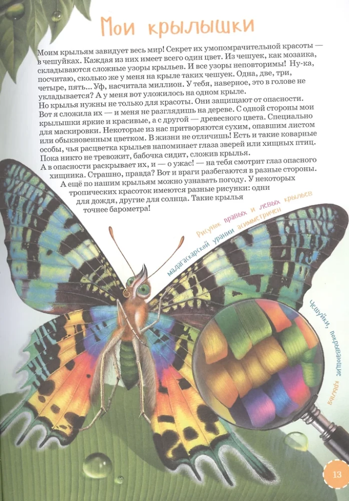 Самые необычные и редкие животные. Энциклопедия