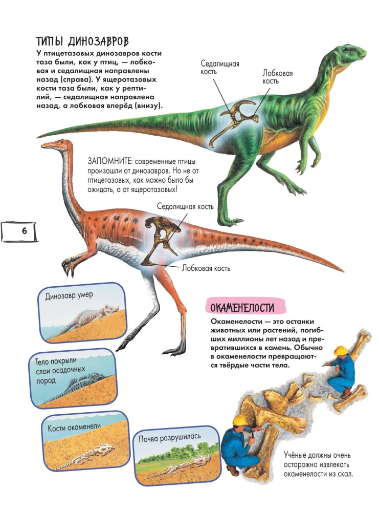 Dinozauri