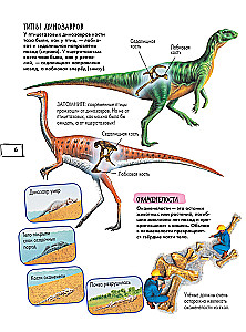 Dinozauri