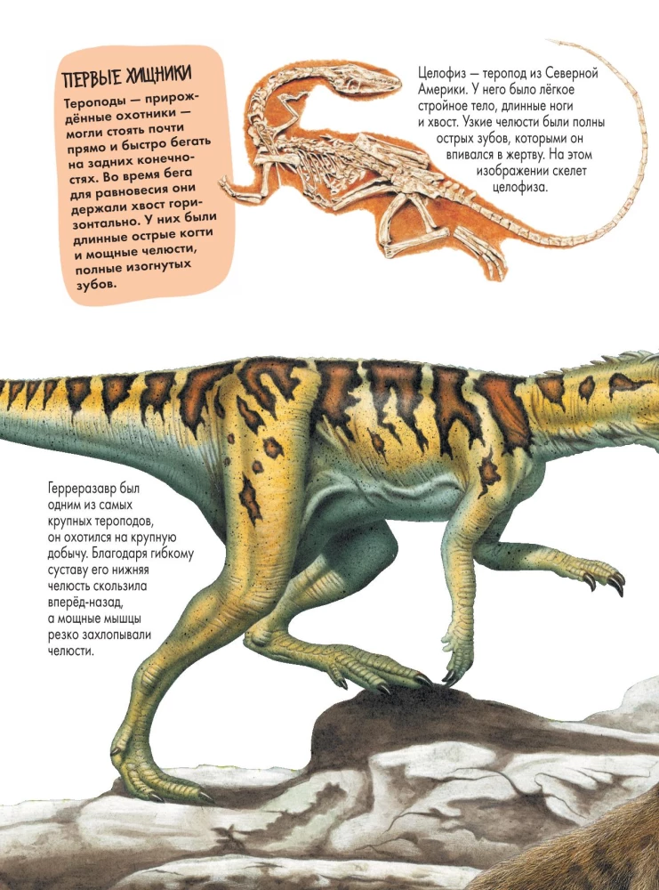 Dinozauri