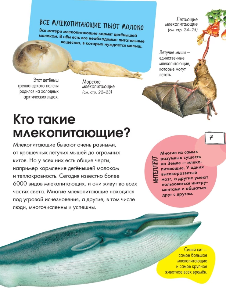 Животные