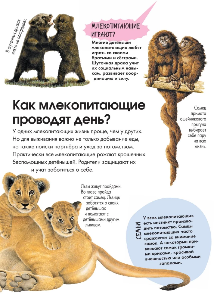 Животные
