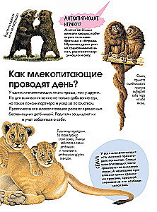 Животные