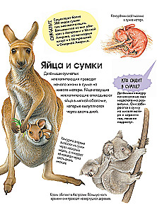 Животные