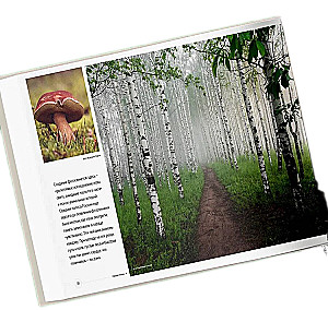 Nepārspējamā Krievija. Dabas mantojums mūsu valstī ceļotāju Nature Photo Team fotogrāfijās