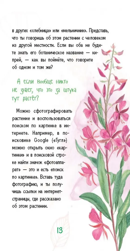 Vasara atmiņā. Mana pirmā augu kolekcija