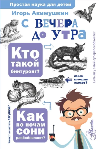 No vakara līdz rītam