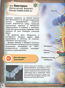 4D книга «Мир под микроскопом»