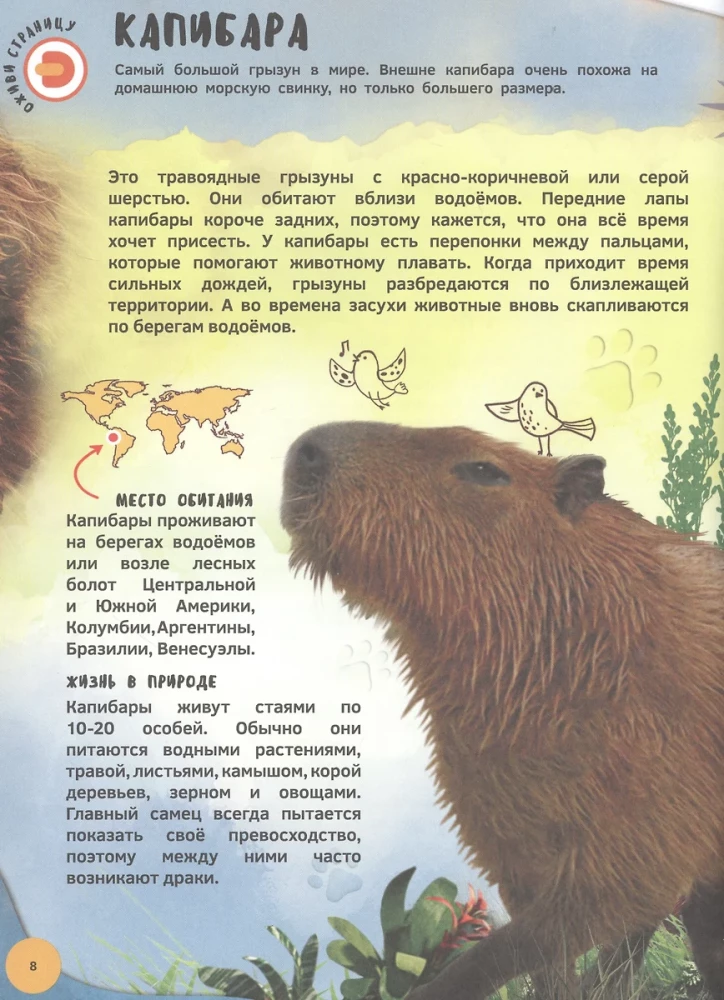 Энциклопедия 4D в дополненной реальности - Знакомство с животными
