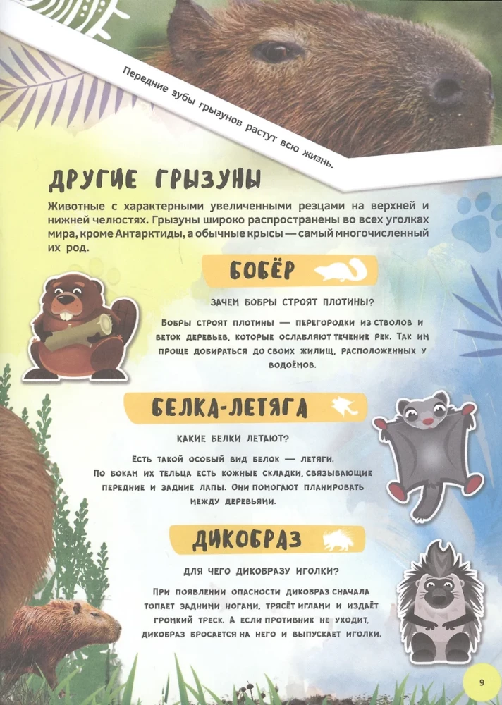 Энциклопедия 4D в дополненной реальности - Знакомство с животными
