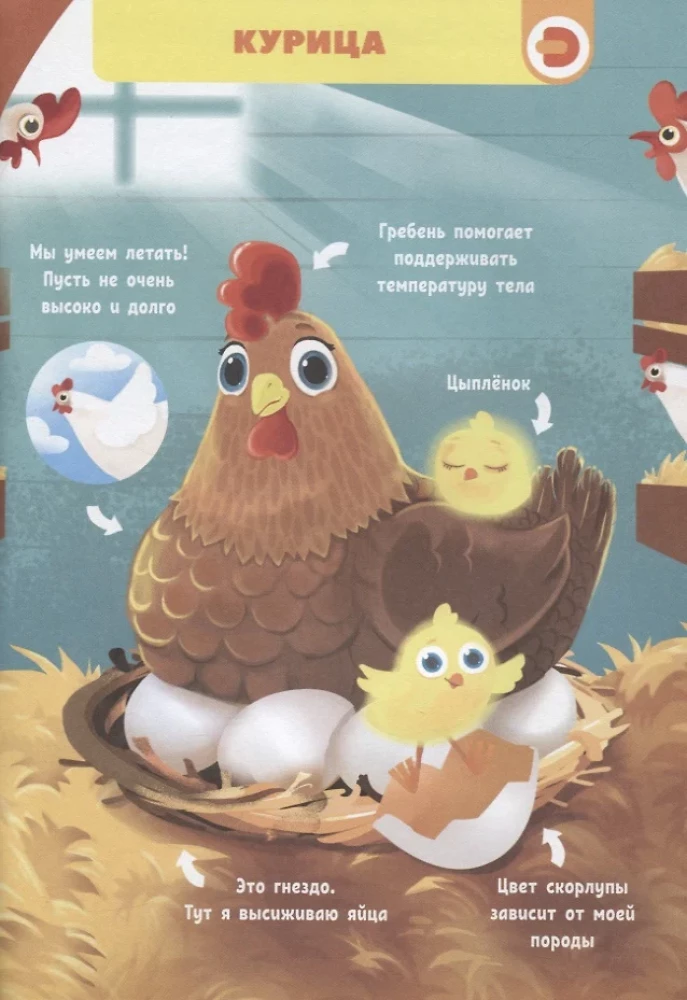 Par ko domā dzīvnieki?