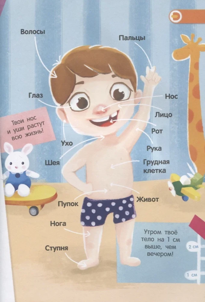 4D mini-enciklopēdija  Par ko sit sirds