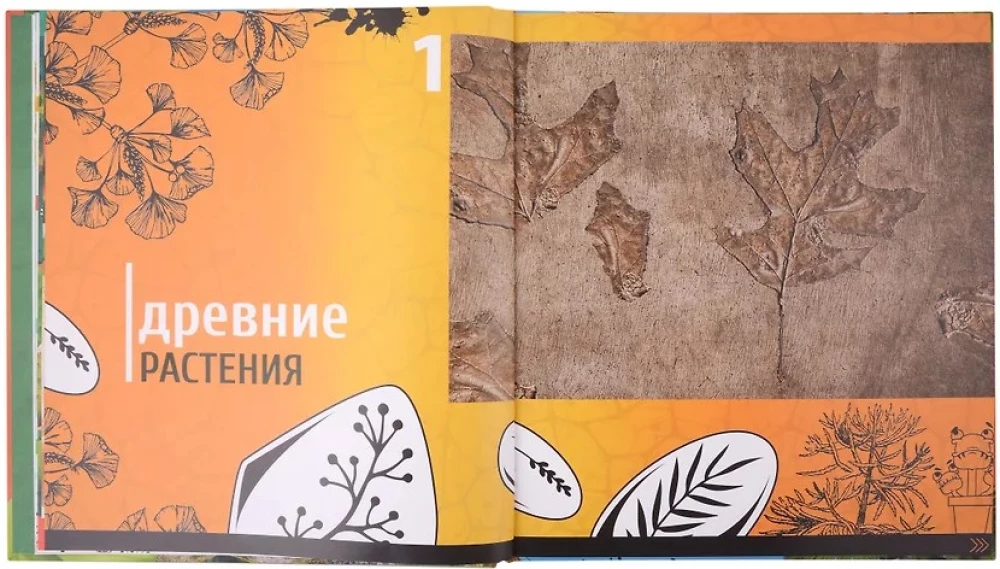 Dzīvā enciklopēdija. WOW! Augi paplašinātajā realitātē