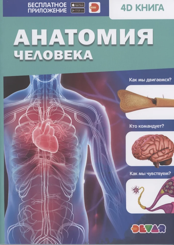 Cilvēka anatomija