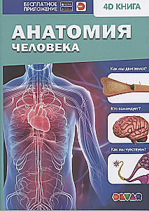 Cilvēka anatomija