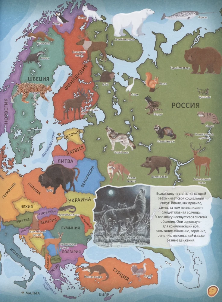 Dzīvnieki