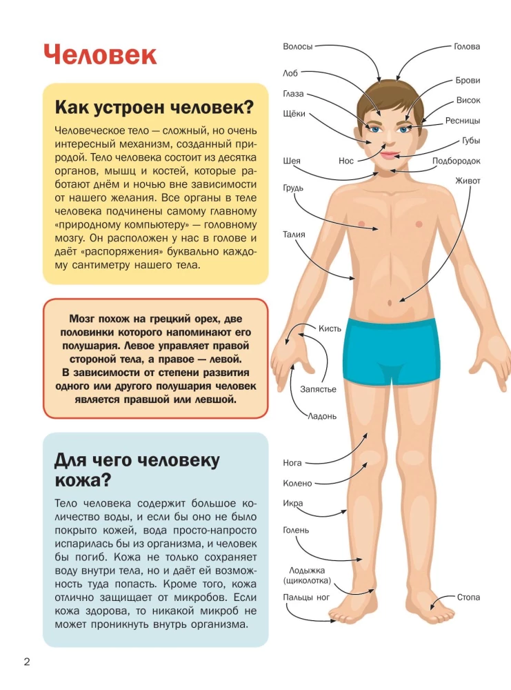 5000  Что? Зачем? Почему? В картинках, которые можно рассматривать целый год