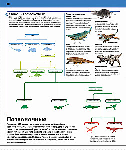 Динозавры. Самая полная современная энциклопедия