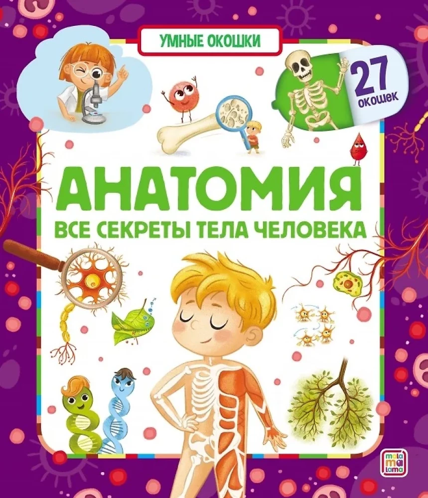 Gudrie logi. Anatomija