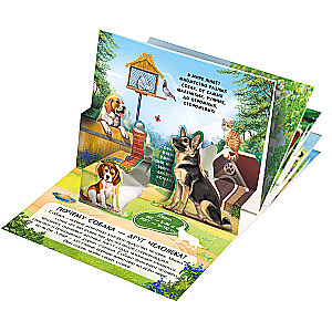 Kabatas POP-UP enciklopēdija. Komplekts Nr. 2