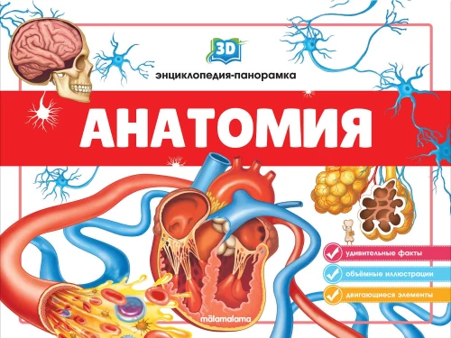 3D enciklopēdija-panorāma. Anatomija
