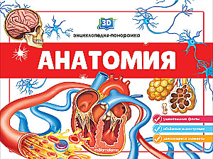 3D энциклопедия-панорамка. Анатомия