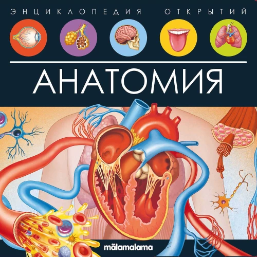 Anatomija