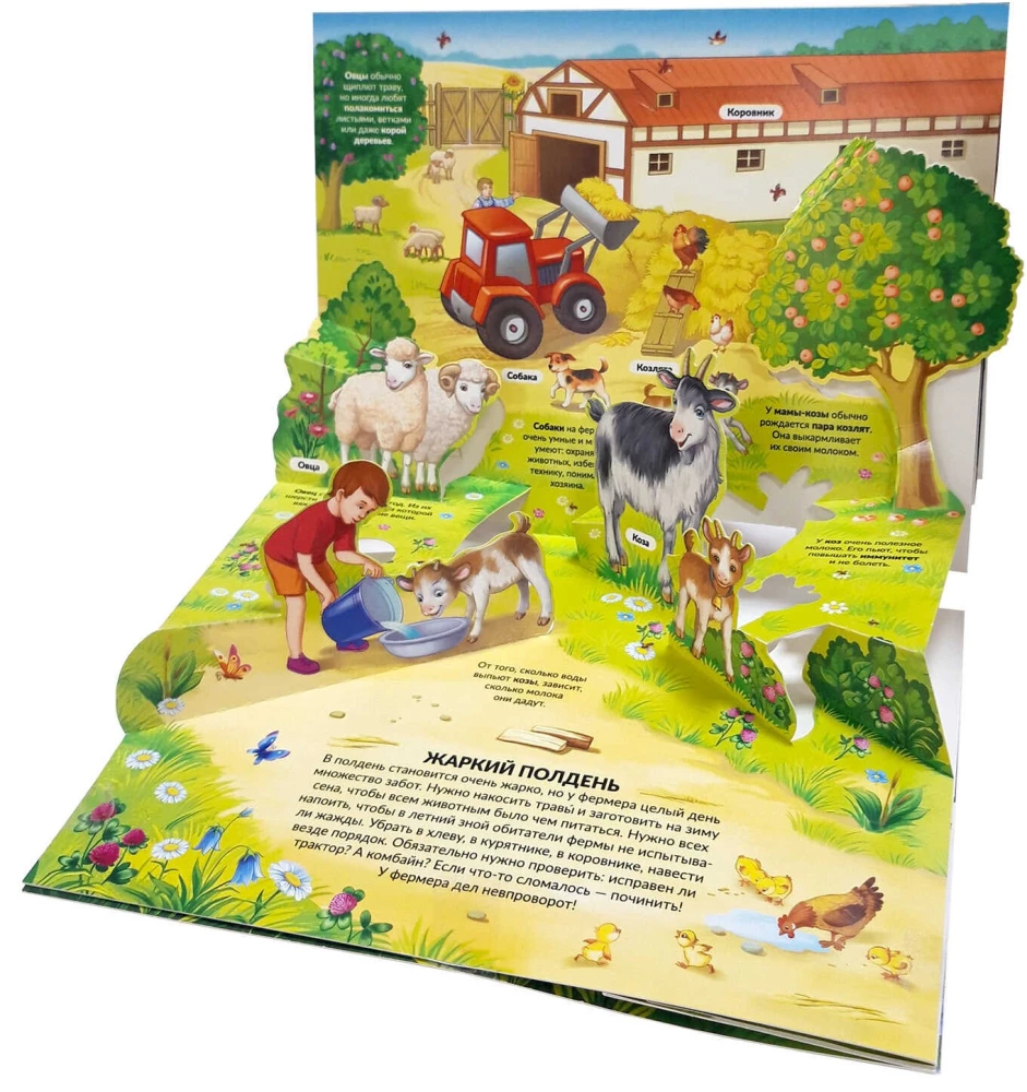 3D enciklopēdija-panorāma. Ferma