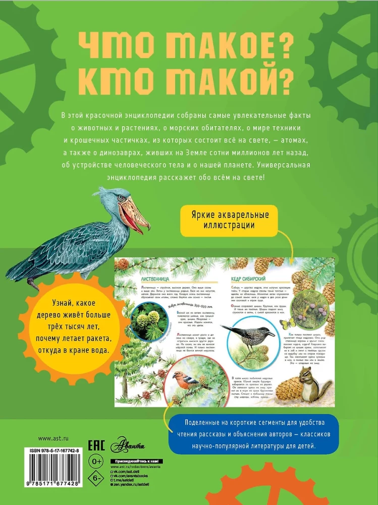 Что такое? Кто такой?