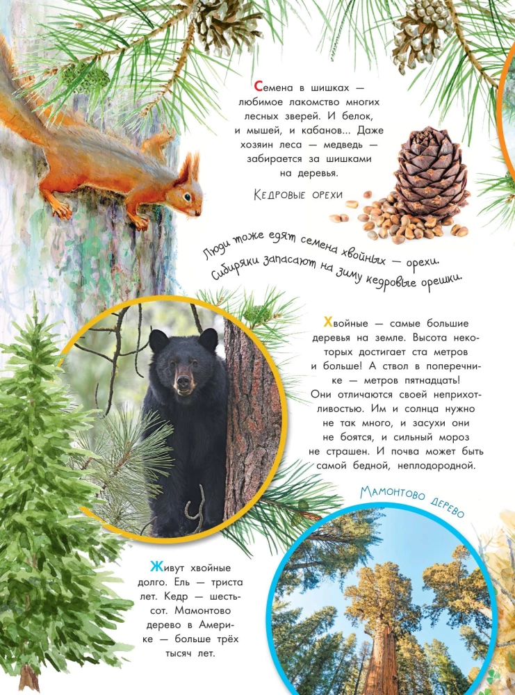 Что такое? Кто такой?