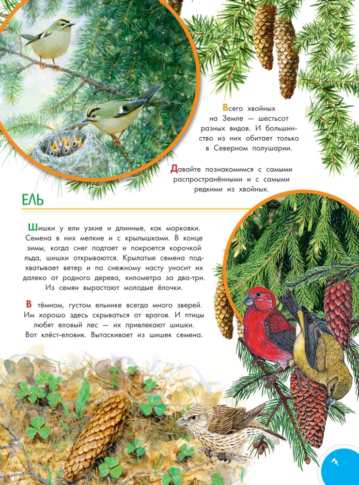 Что такое? Кто такой?