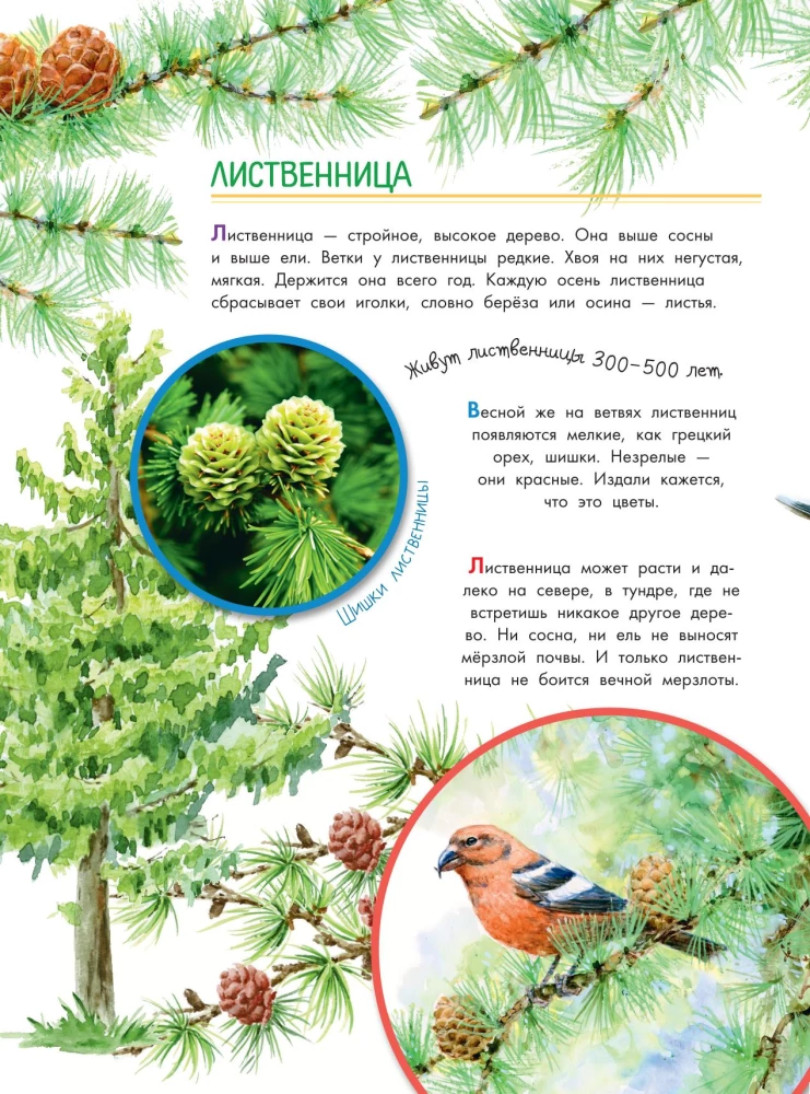 Что такое? Кто такой?