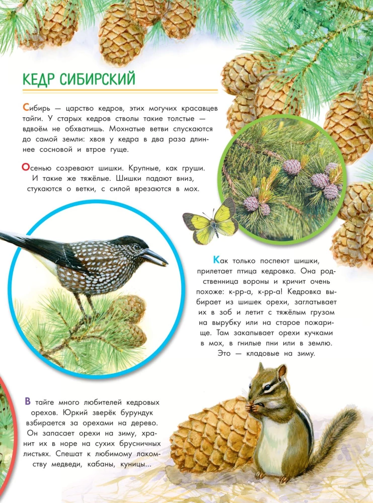 Что такое? Кто такой?