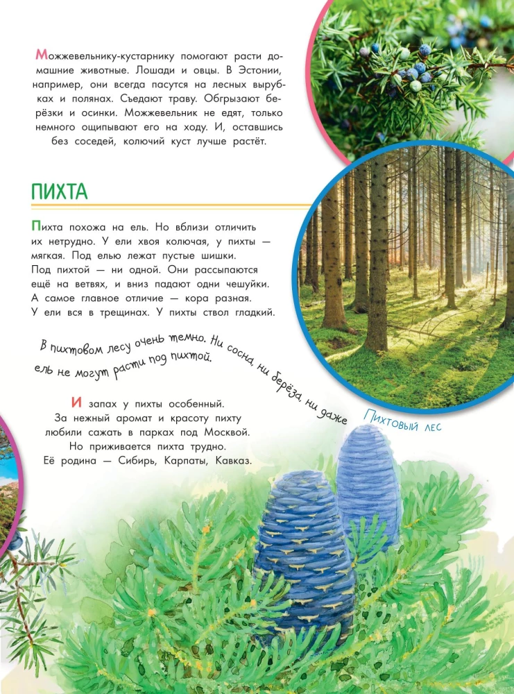 Что такое? Кто такой?