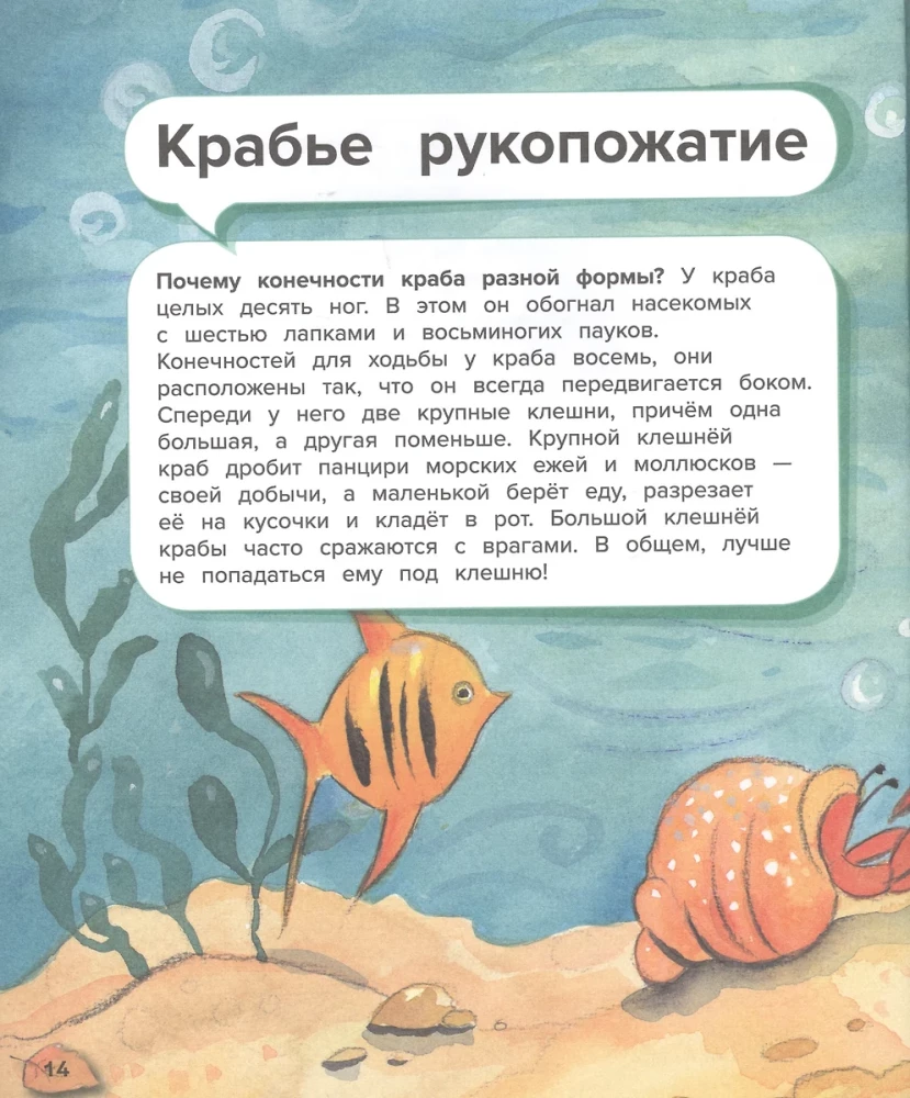 Brīnumi dzīvnieku pasaulē. 44 pārsteidzoši fakti par dzīvnieku dzīvi