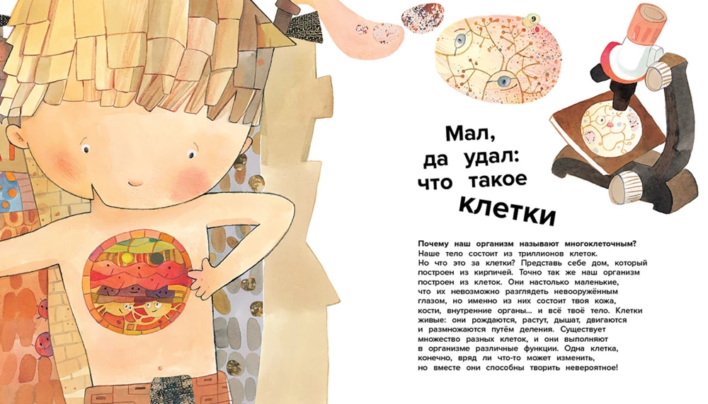 Cilvēka ķermenis. 44 pārsteidzoši fakti par cilvēka ķermeni
