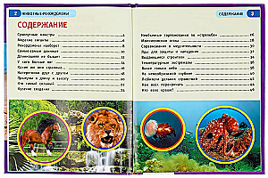 Животные-рекордсмены