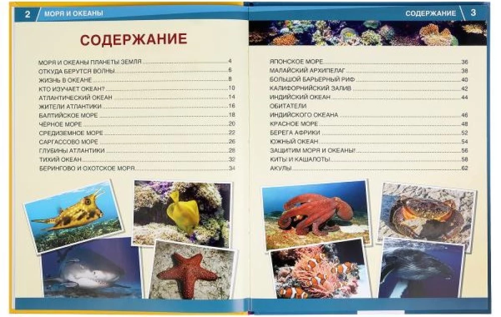 Энциклопедия 365 фактов - Моря и океаны