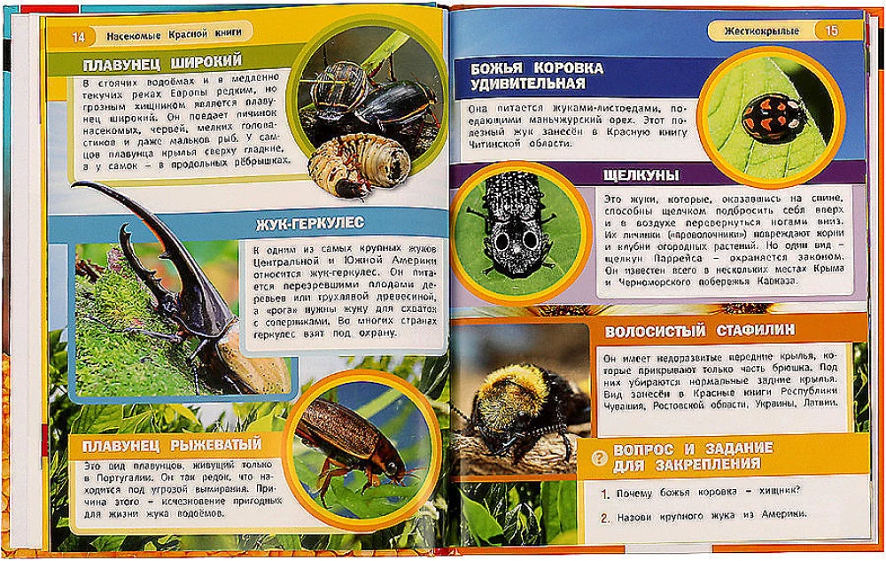 Encyclopēdija ar attīstošiem uzdevumiem - Sarkanās grāmatas kukaiņi