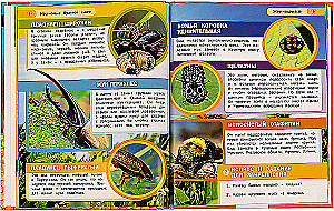 Encyclopēdija ar attīstošiem uzdevumiem - Sarkanās grāmatas kukaiņi