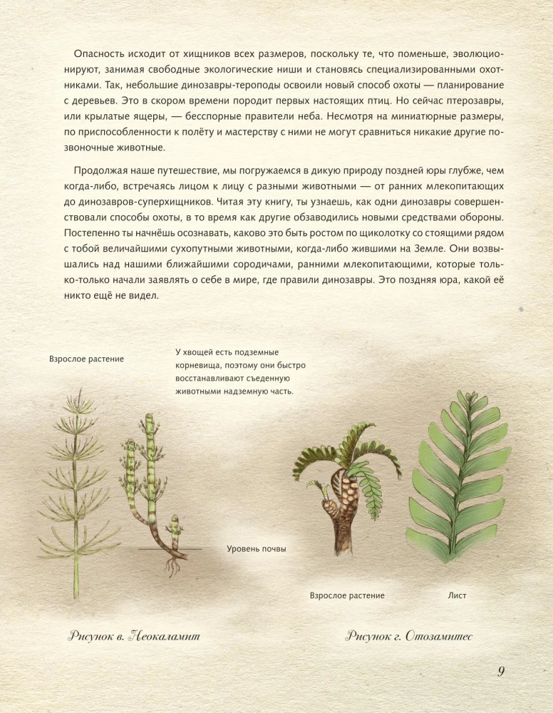 Juras periods. Dinosauri un citi pirmsvēsturiski dzīvnieki