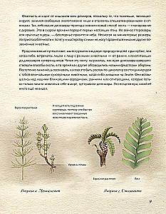 Juras periods. Dinosauri un citi pirmsvēsturiski dzīvnieki