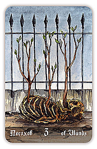 Гадальные карты - Кладбищенское Таро. Necropolis Tarot с инструкцией (78 карт)