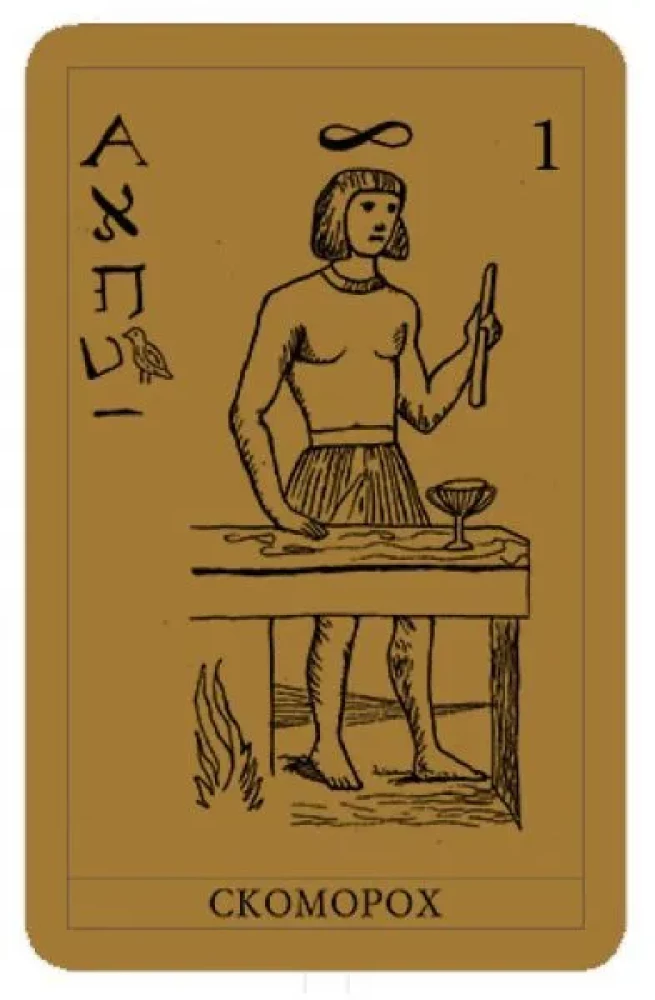 Tarot - Papjusa iesācējiem