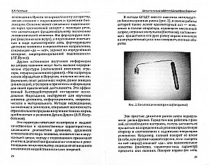 Faraona cilindru dziedinošais efekts