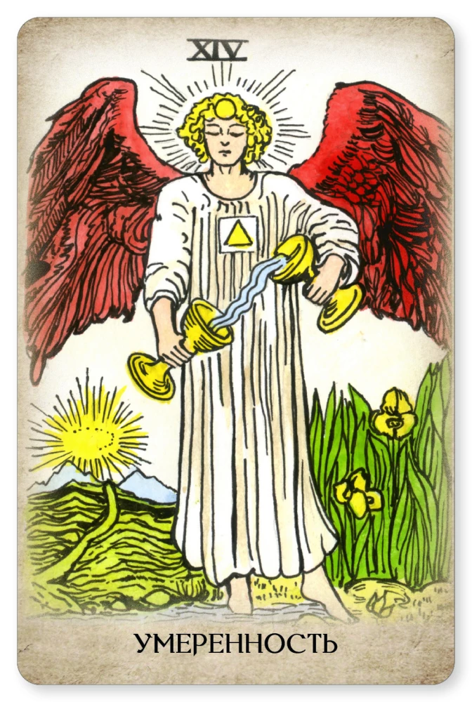 Tarot Vaita. Profesionālais komplekts 79 kārtis ar grāmatu un darba burtnīcu