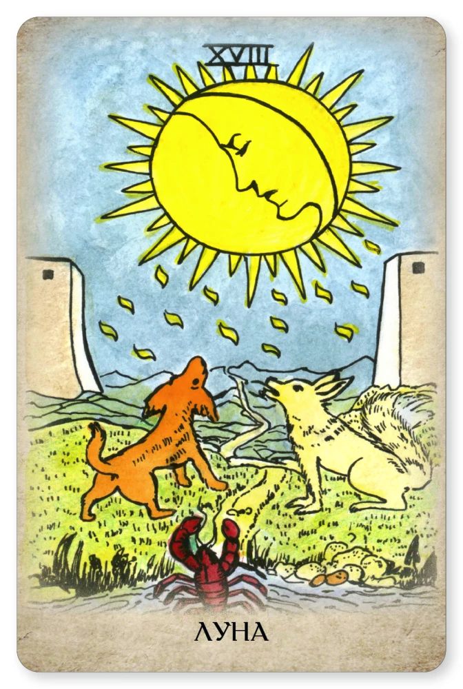 Tarot Vaita. Profesionālais komplekts 79 kārtis ar grāmatu un darba burtnīcu