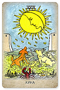 Tarot Vaita. Profesionālais komplekts 79 kārtis ar grāmatu un darba burtnīcu